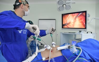 fazendo cirurgia bariátrica