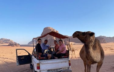 a camell is driving through the desert