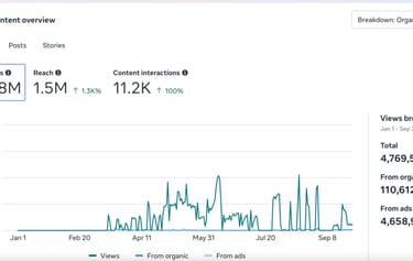 Dhana sekaran - Meta ads case studies Mumbai