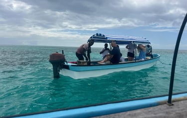 Zanzibar Mnemba Island day tour boat trip for dolphin watching and snorkeling adventure