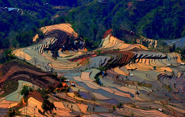 China well know history Geography Humanities Economy Top of China