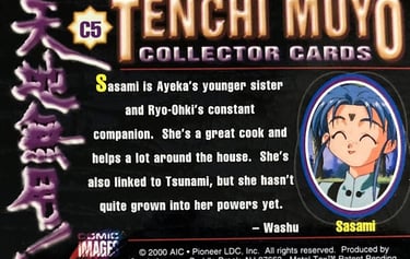 Sasami's Data File