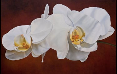 Monumental contemporary botanical realism, sprig of white phals painted by Christine Knize