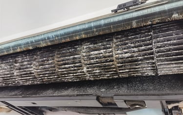 Champignon dans une climatisation