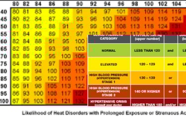 importance of heart indix