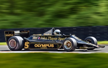 Lotus 79 (1978) 