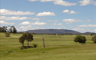 Picture of View of Mount Duval with farms in the foreground