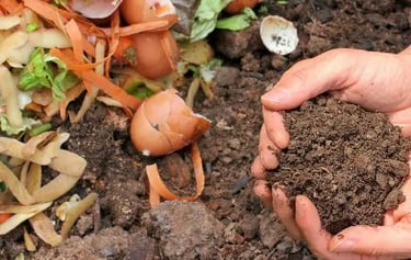 Composter 