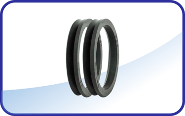 V-Rings Tecnoseal
