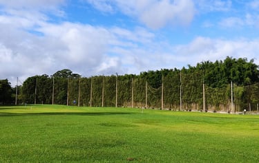 consultoria ambiental
