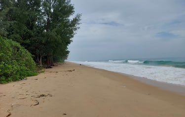 khao lampi hat thai mueang national park beach