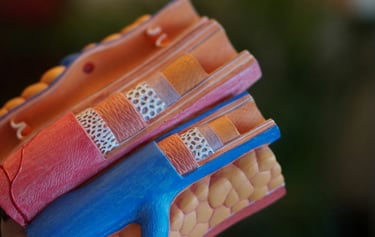 Breaking Boundaries: Unraveling the Path to Reverse Coronary Artery Disease