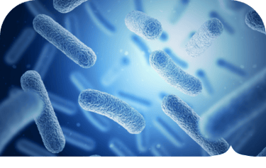 Hypoxia-Free Microbal Culture