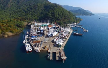 Albatros Marina Chauffeur & Transfer Service