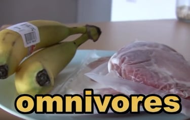 Omnivores eat plants and other animals