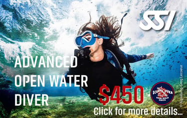 Scuba diver underwater for an SSI Advanced Open Water Diver course in Diani Beach, Kenya.