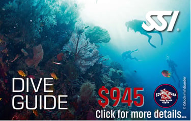 SSI Dive Guide course in Diani Beach Kenya featuring scuba divers exploring a vibrant coral reef.