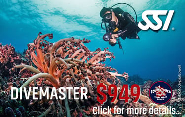 SSI scuba diver underwater near a coral reef promoting a Divemaster course in Diani Beach, Kenya.