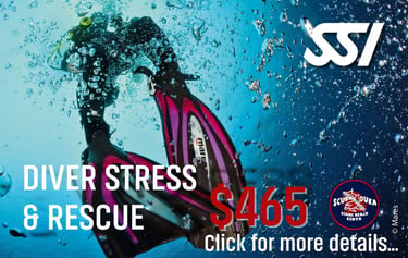 Scuba diver in pink fins during SSI Diver Stress and Rescue course in Diani Beach Kenya.