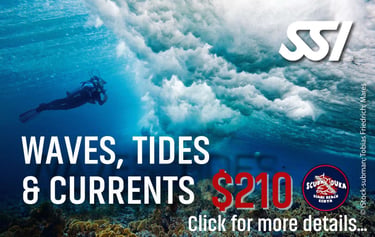 Scuba diver underwater during an SSI Waves, Tides and Currents course at Diani Beach Kenya.