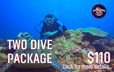 Scuba diver observing a sea turtle near a coral reef in Diani Beach, Kenya, with two dive package offer details.