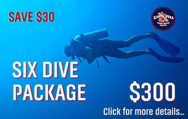 Scuba diver underwater promoting a six dive package deal at Scuba Duka in Diani Beach Kenya.