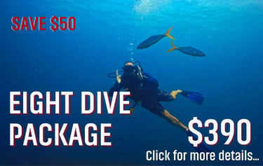 Scuba diver underwater with tropical fish promoting an eight dive package deal for $390.