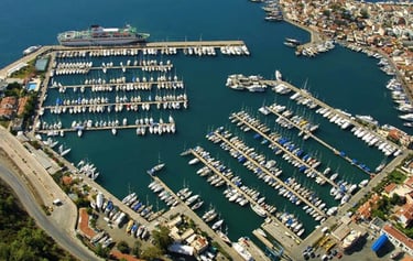 Netsel Marina Chauffeur & Transfer Service