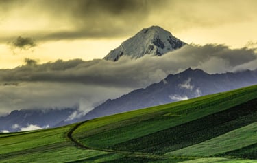 Sacred Valley & Machu Picchu Birding Adventure 3D/2N