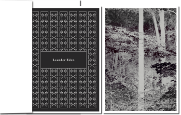 kontrastreicher Wald und Design-Ornament auf Trauerkarten