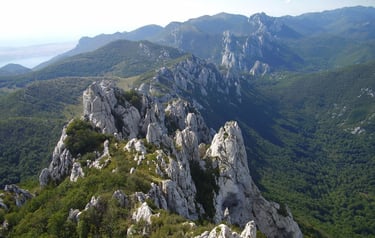 Scenic landscape of Velebit mountain with rugged peaks and dense forests.