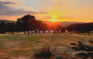 Coucher de soleil chez Bel'âne