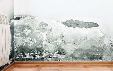 interior moisture damagr to wall, gradual damage, Independant insurance assessor