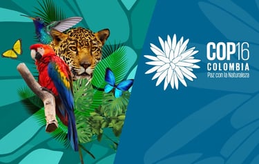 PESTICIDES LOBBYING COP ONU