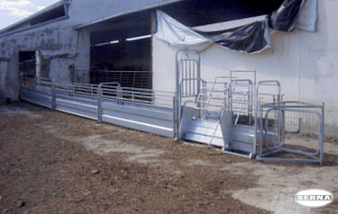 Mangada SERNA LÍDER EN DISTRIBUCIÓN MATERIAL GANADERÍA Y CERCADOS, OVINO PRODUCTOS