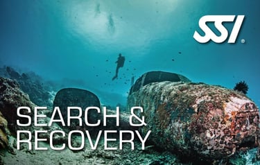 SSI Search & Recovery