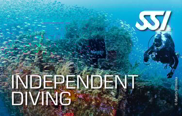 a scuba diver in a diving suit and scuba gear
