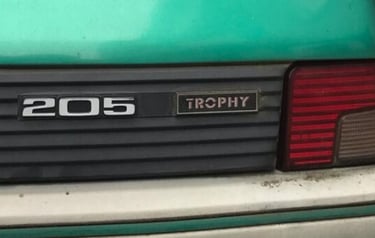 une peugeot 205 trophy vert fluorite avec son monogramme de coffre