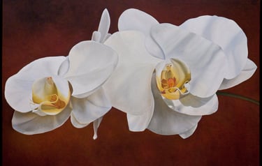 Christine Knize, White Phal South Florida Investment Grade Fine Art