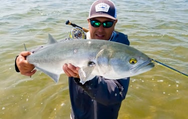 Bluefish on the fly