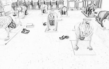 New to Stonehouse Pilates - Start Here