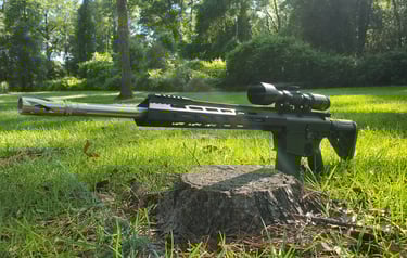 LR308 Stainless Steel Barrel Custom Build