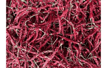 Syngenta HPH 5531 chilli- premium variety from Nadaf Enterprises