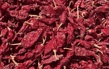 Dabbi Kashmiri chilli-premium variety from Nadaf Enterprises