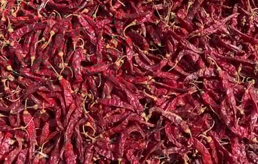 Devanur Deluxe Chilli-premium variety from Nadaf Enterprises
