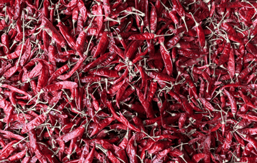 Guntur Chilli-premium variety from Nadaf Enterprises