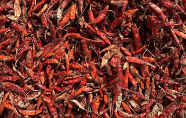 Guntur Chilli medium grade-premium variety from Nadaf Enterprises