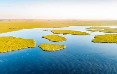 Picture Rewilding Argentina