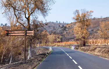 Incendie de l'Aude août 2025. Route au milieu de végétation brûlée.
