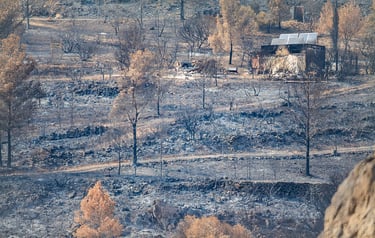 Incendie de l'Aude août 2025. Végétation et bâtiments calcinée. Cendres.